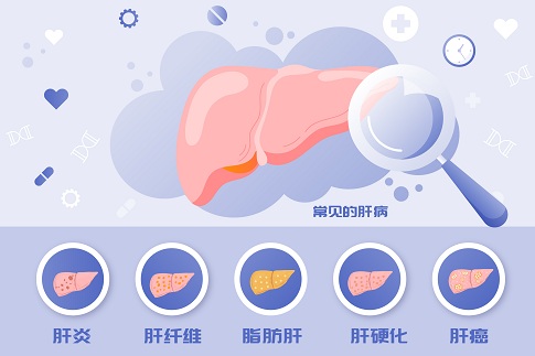 1654703515141074.jpg 攝圖網(wǎng)_402142207_全國愛肝日常見肝病矢量插畫(企業(yè)商用).jpg