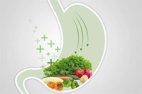 1735260598871367.jpg 攝圖網(wǎng)_500850486_banner_ 綠色蔬菜健康胃部飲食(企業(yè)商用).jpg