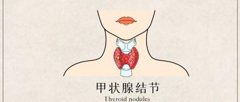 1755669764103616.jpg 微信圖片_20250820135556(1).jpg
