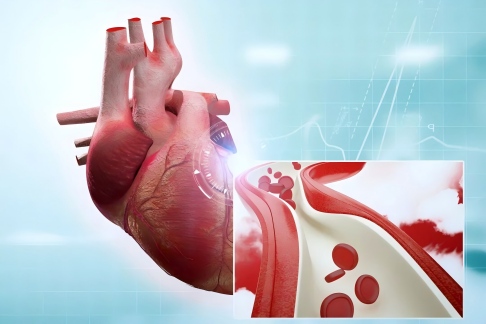 1758325745484613.jpg 2.jpg