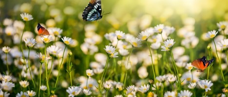 1758585316853033.jpg 3.jpg